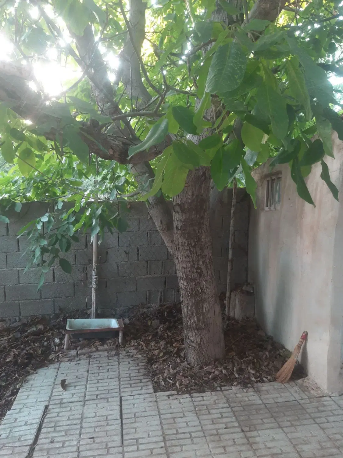 ۳۷۵متر باغ با بنا کنتور آب کنتور برق کنتور گاز