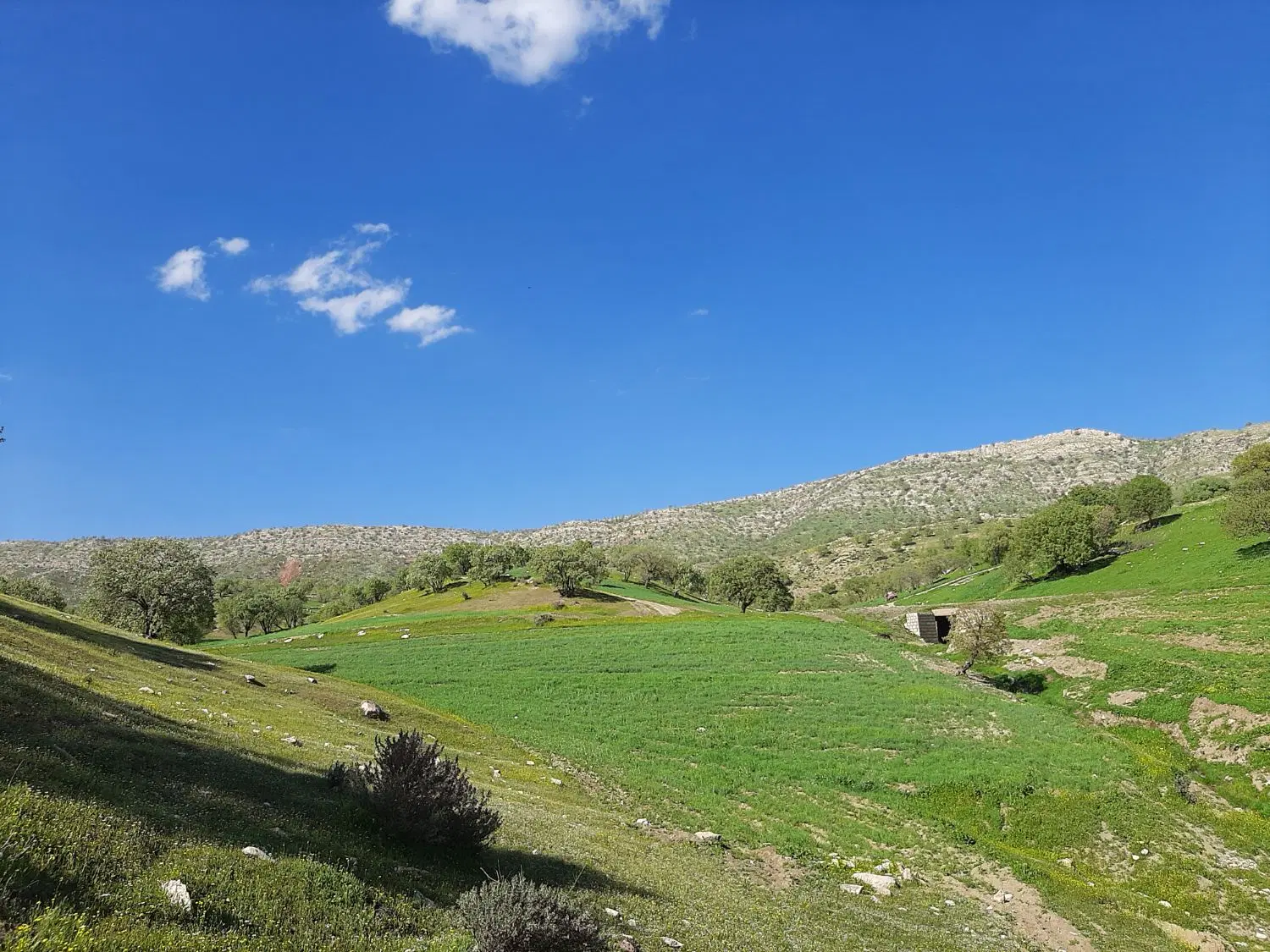 زمین ساختمانی در آباریکی