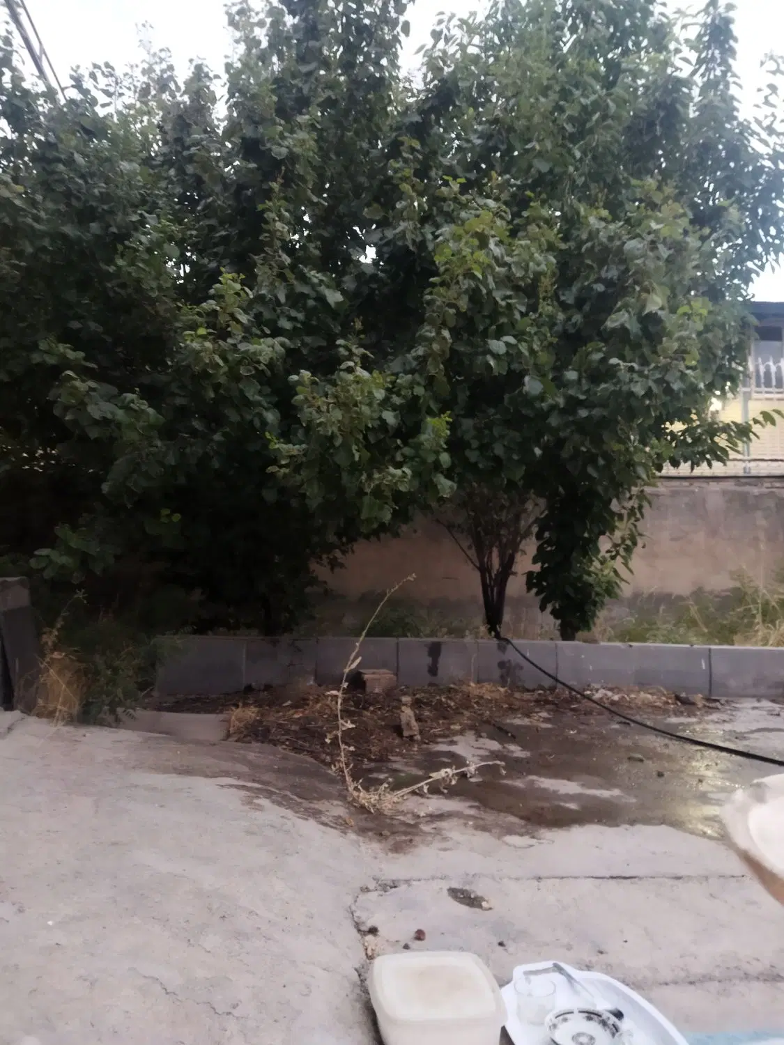 زمین کشاورزی
