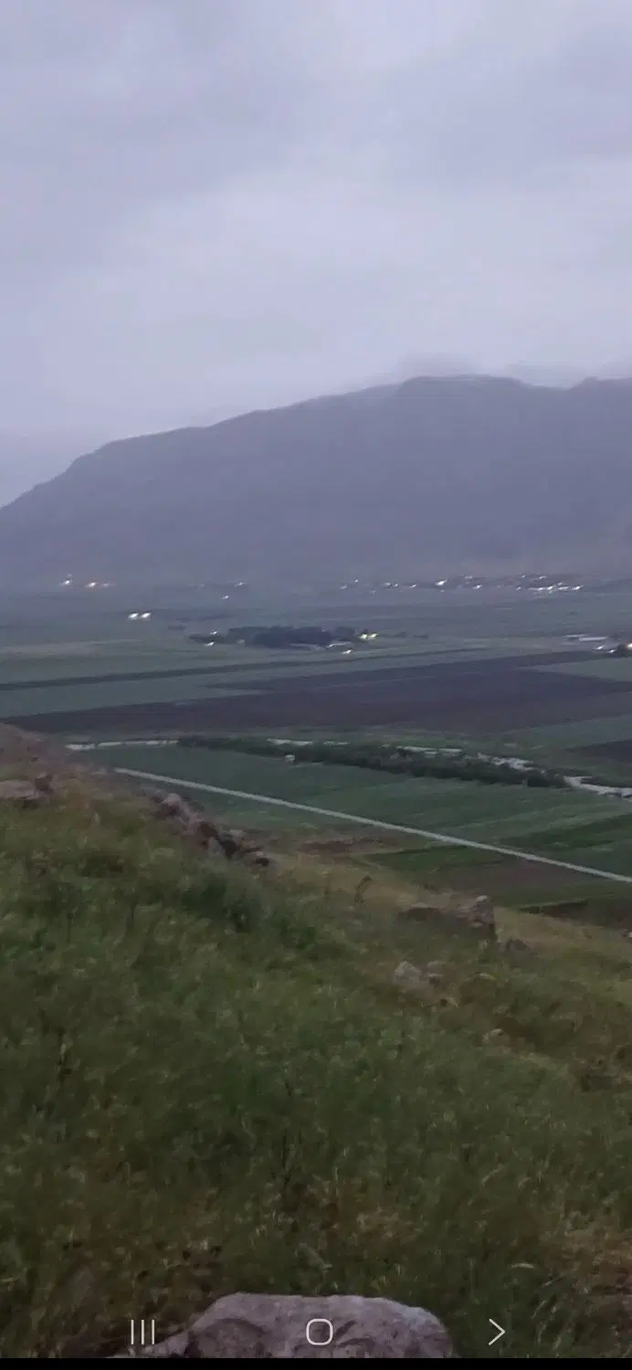 زمین باغی