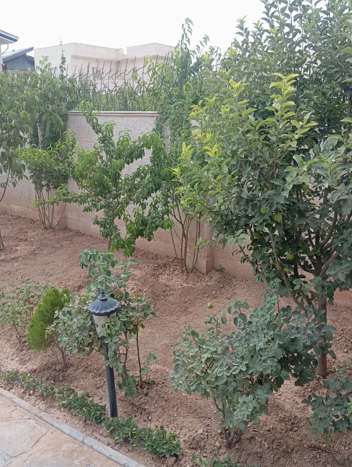 ویلا دماوند