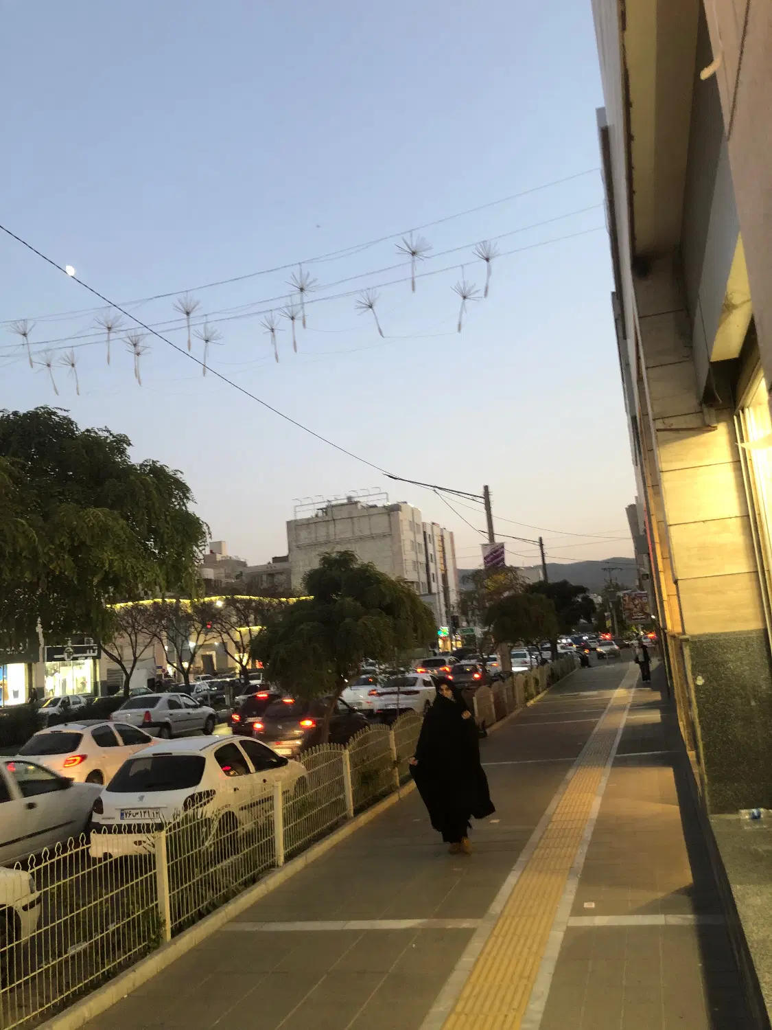 همخونه