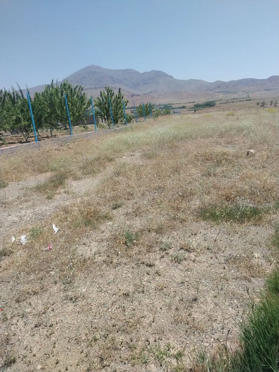 زمین باغ ویلا