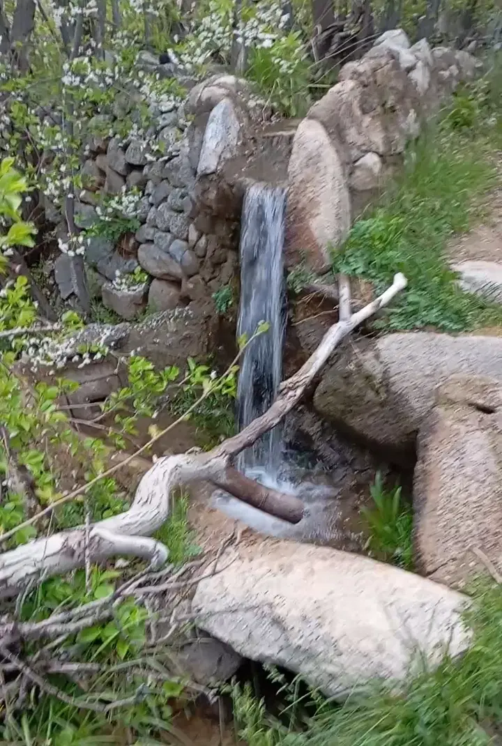 باغ فروشی در روستای بنادک سادات