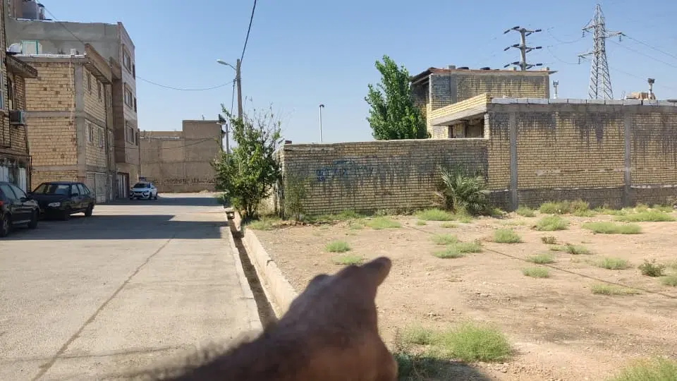 سلام فروش ملک