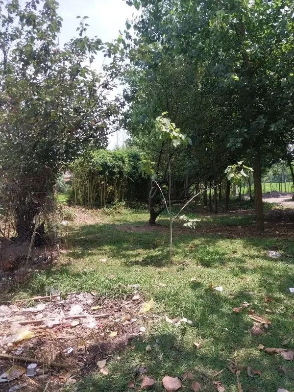 ۶۰۶ متر مسکونی با پروانه ساخت