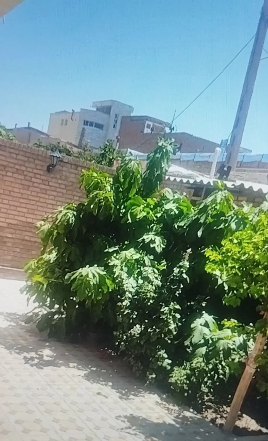 فروش خانه ۲۰۰ متری حیاط‌دار  مناسب ساخت‌وساز