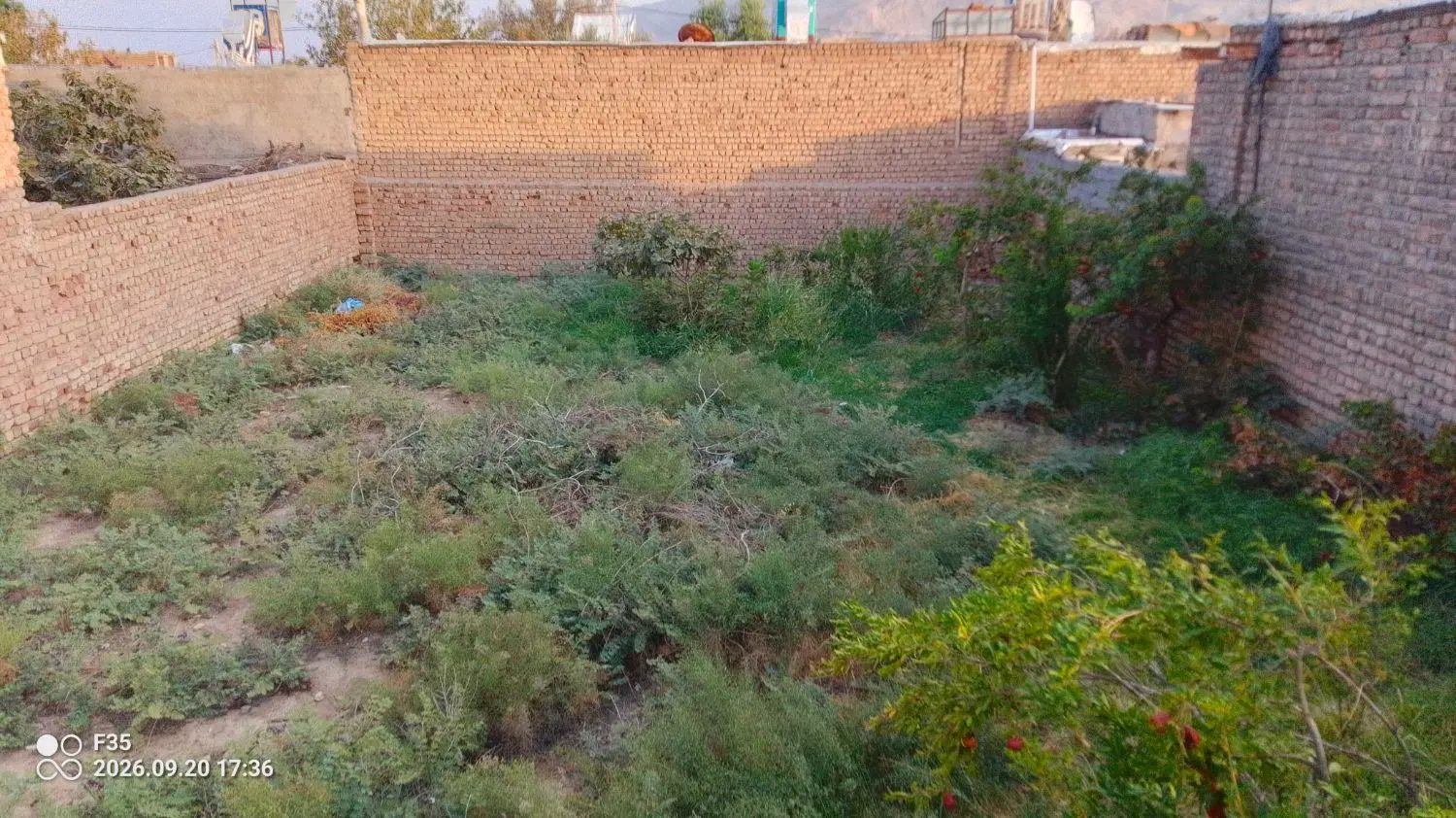 زمین  چهار دیواری