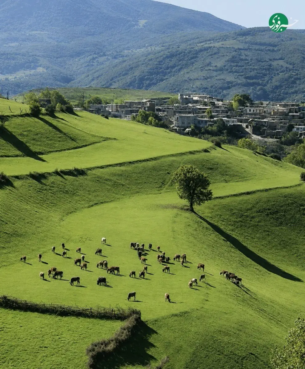 زمین عالیچنگی ۸۰۰ متر