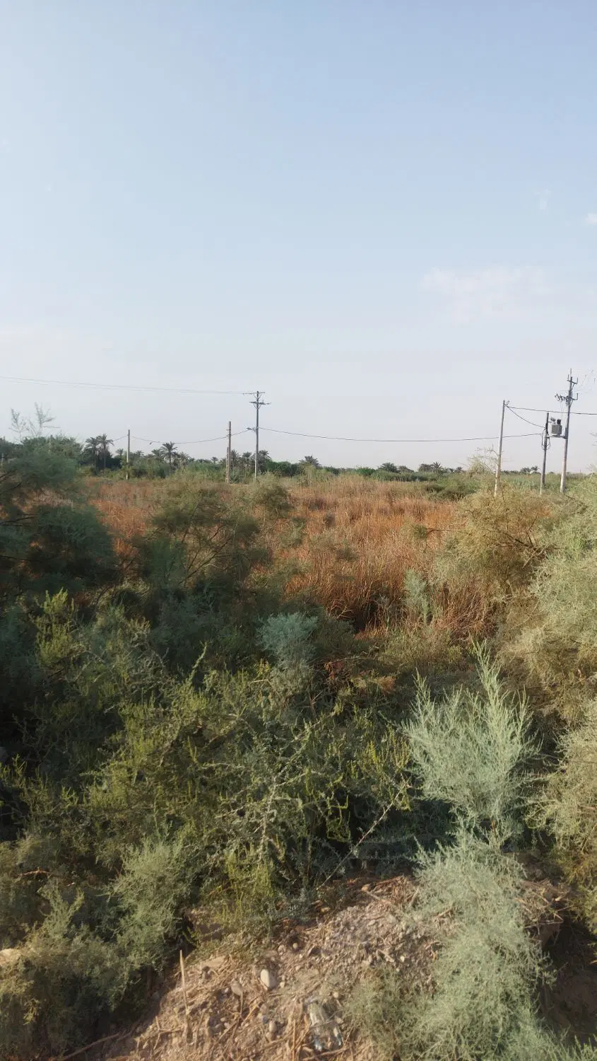 آبادان روستایی فیاضی