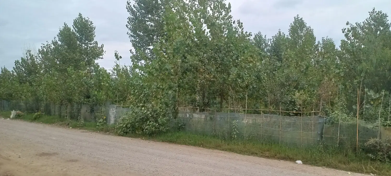 خانه اجاره ای روزانه کولر دار بر دوم اتوبان