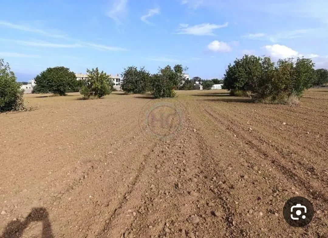 زمین متراژ حدود ۸۸۰۰ متر