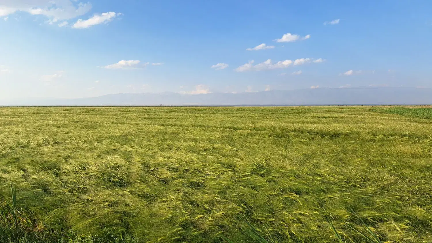 زمین توده‌زن ساختمانی