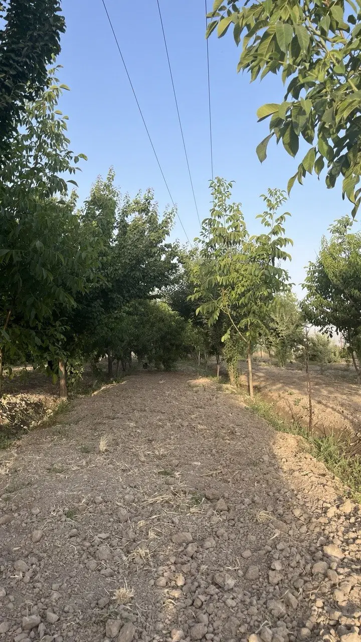 فروش باغ شهری