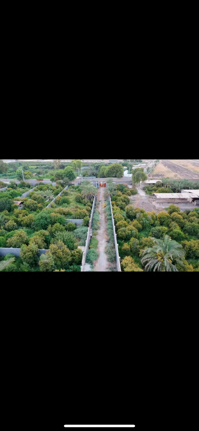 فروش باغچه ۱۰۰۰ و ۱۲۰۰ متری کامل و مناسب بنوارشامی