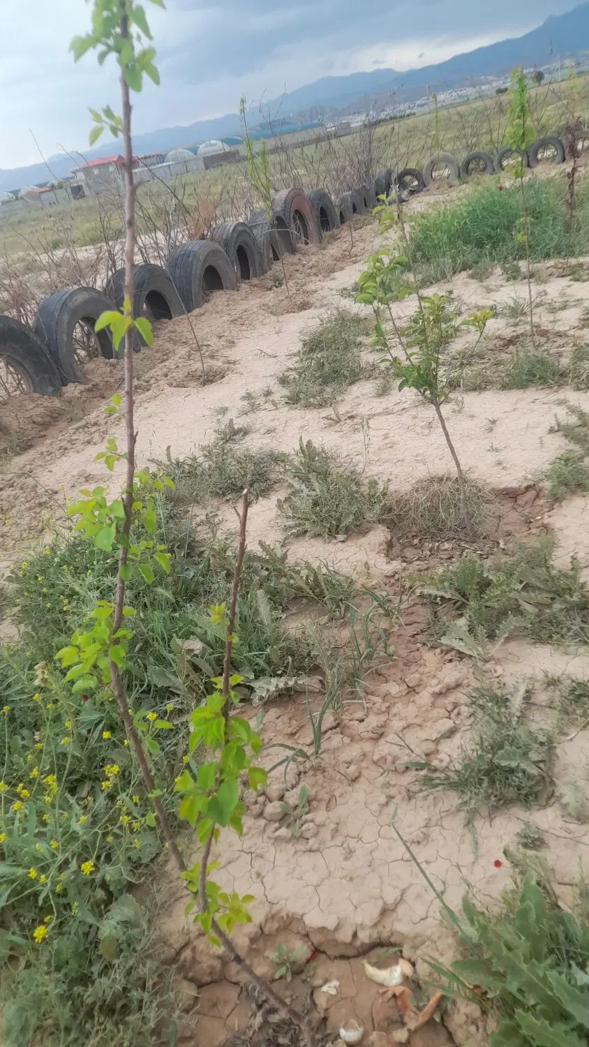 زمین باغ۲۲۰متر