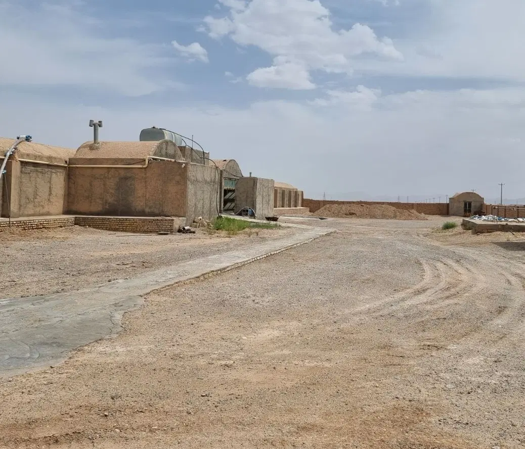 فروش مرغداری گوشتی