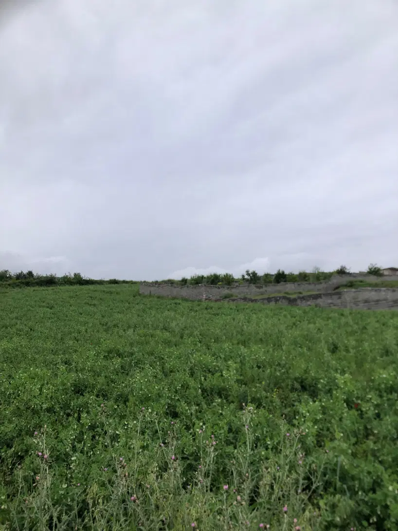 زمین ویلایی صالح آباد