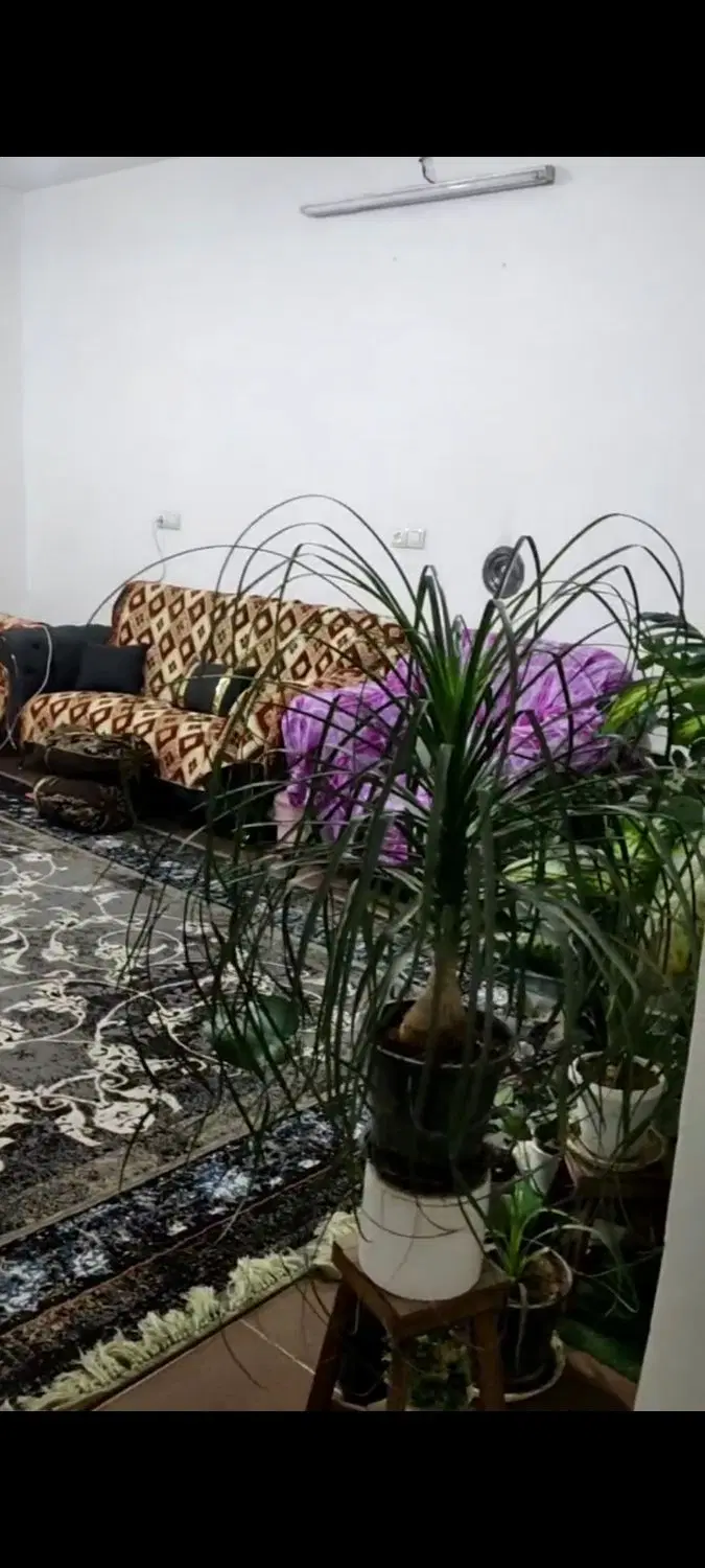 منزل ۱۱۵متری بلوار اتحاد