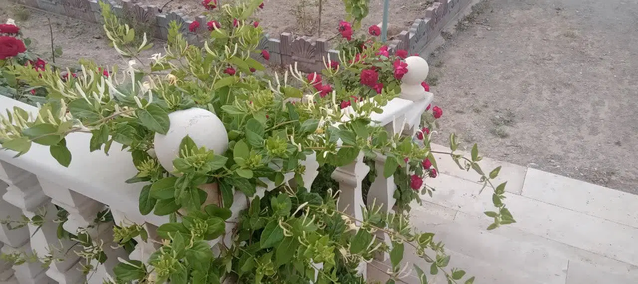 باغ ویلا و گلخانه