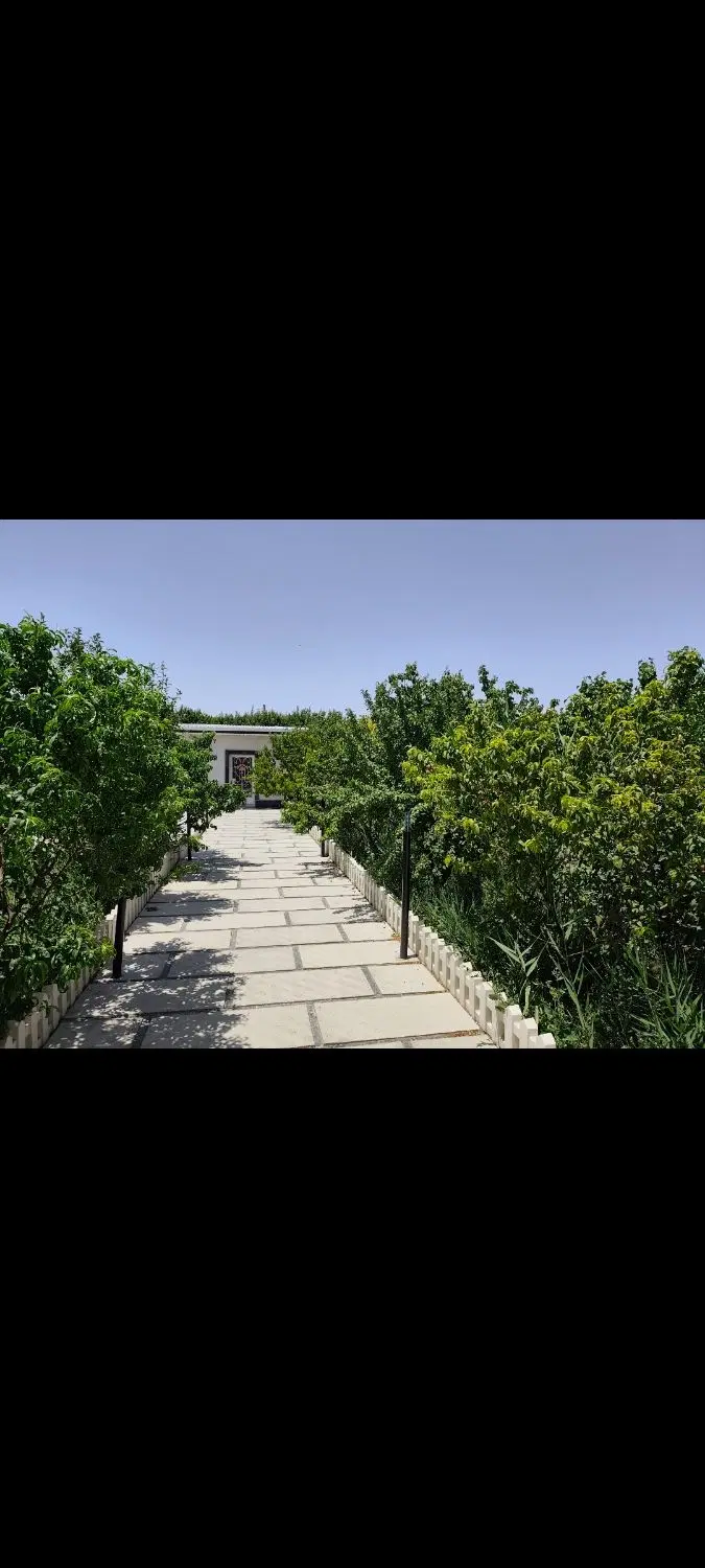 باغچه بیدگنه