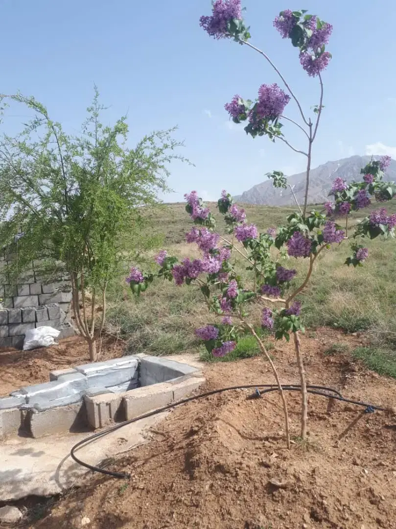 زمین جت باغ و ویلاسازی