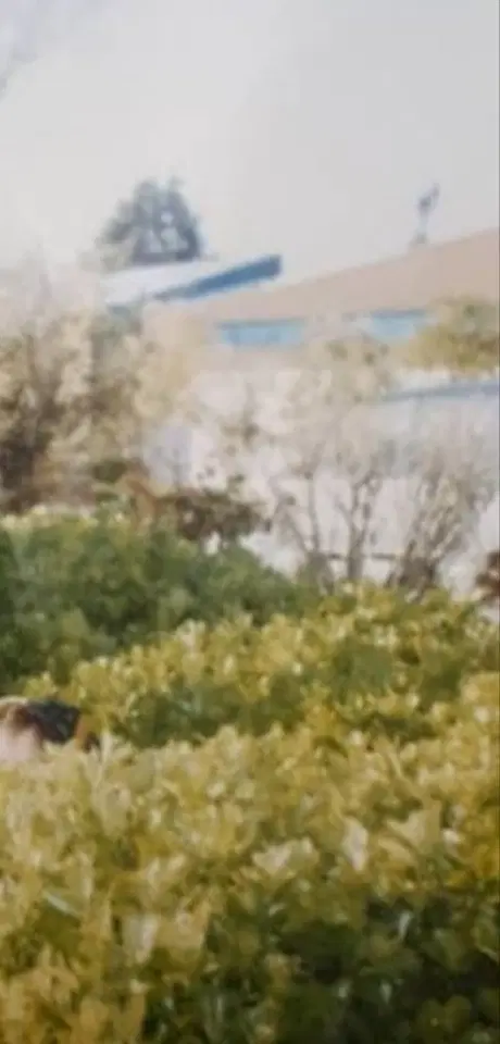 فروش زمین