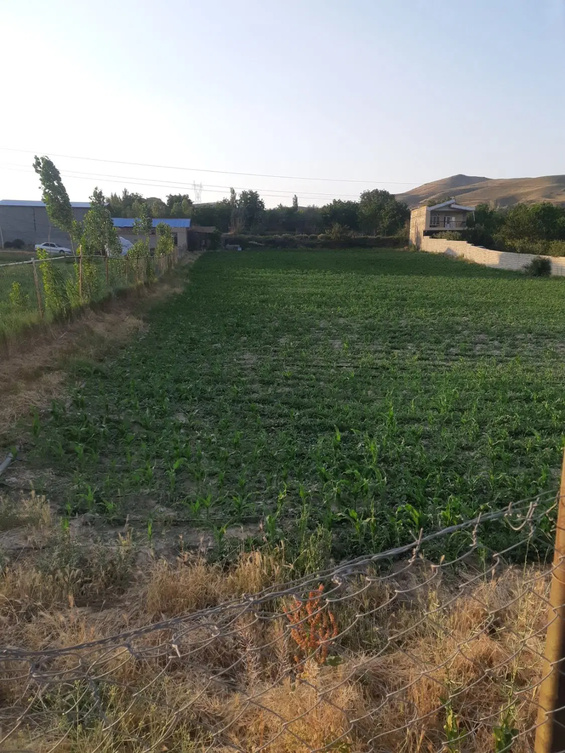 زمین ویلایی