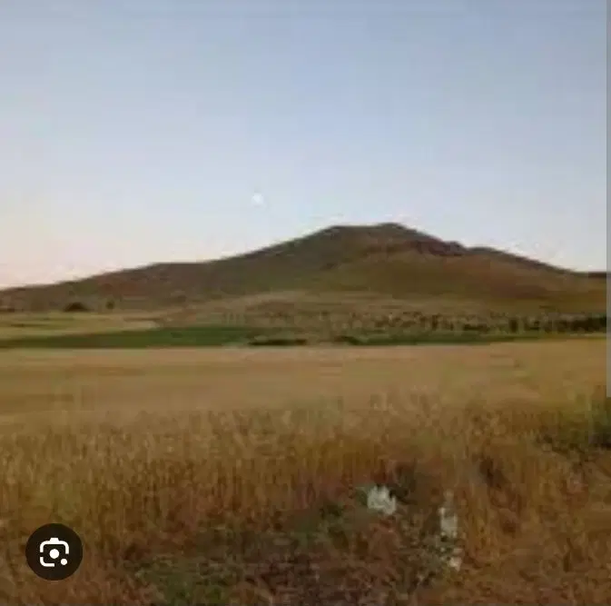 زمین ۱۰۰۰متری