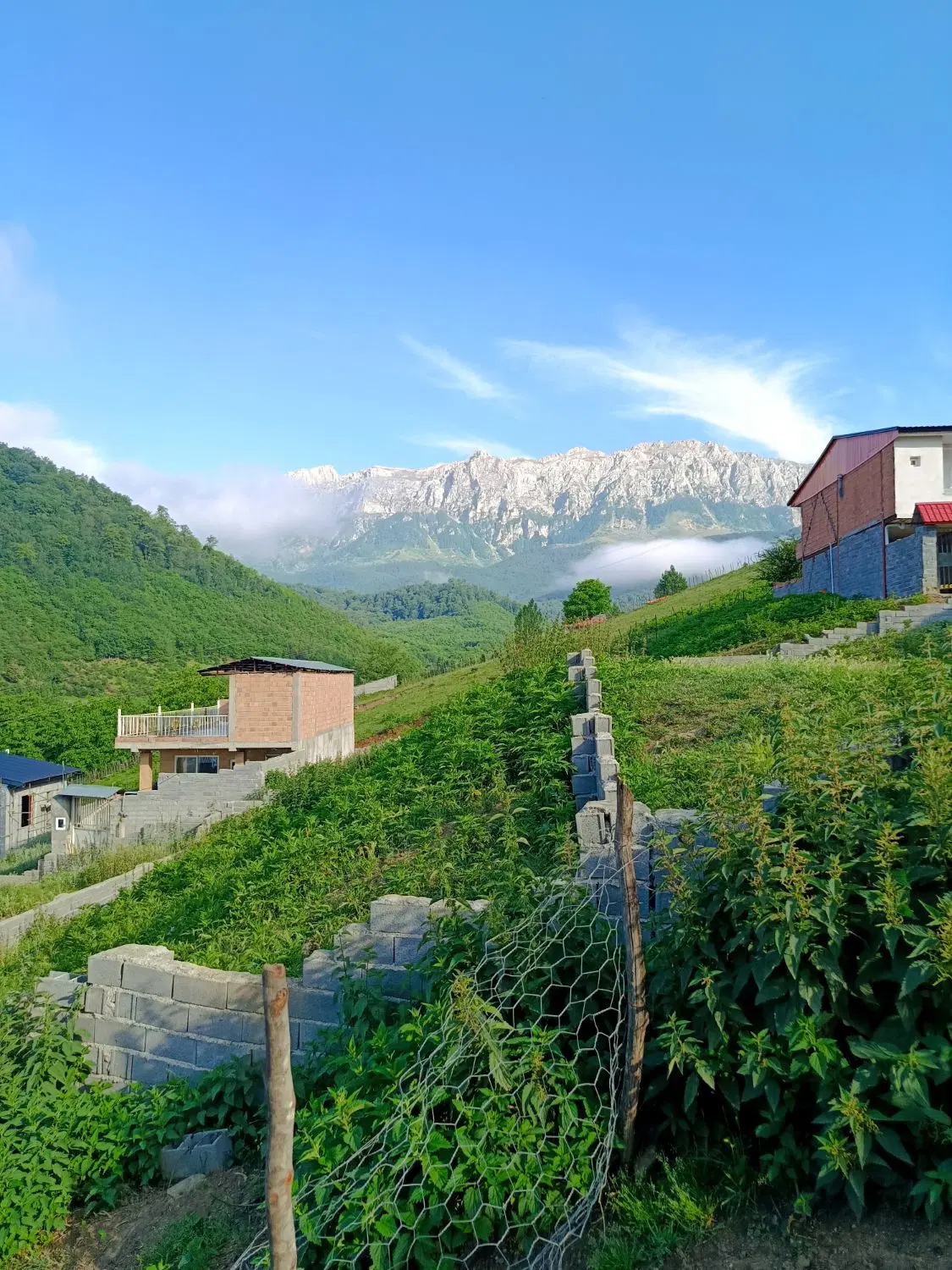 ییلاقی انارم