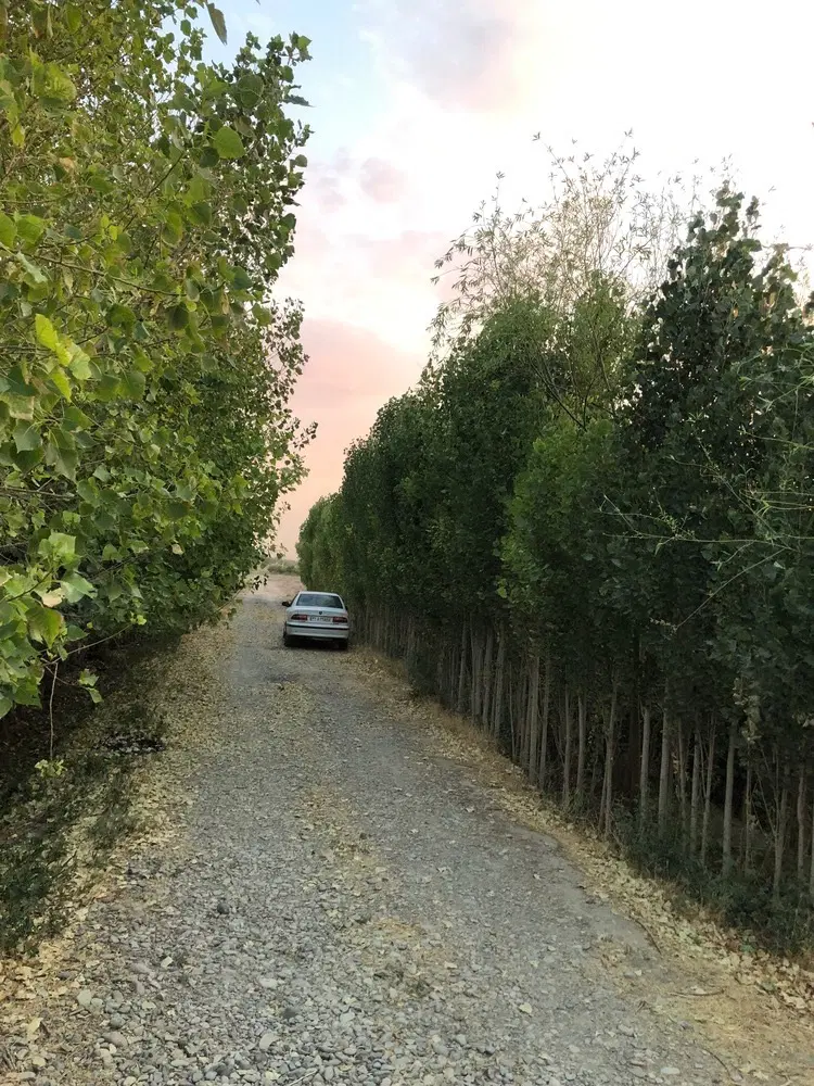 زمین و باغچه اطراف ملک ساخت اباد