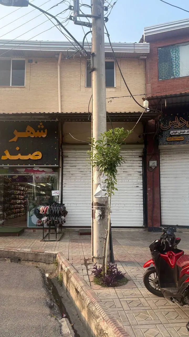 مغازه بر اصلی امامزاده یحیی خیابان جمهوری