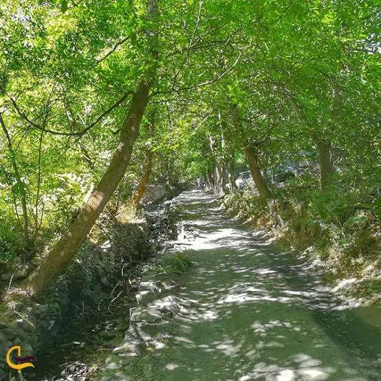 زمین ۳۰۰۰ متری در زشک زیبا