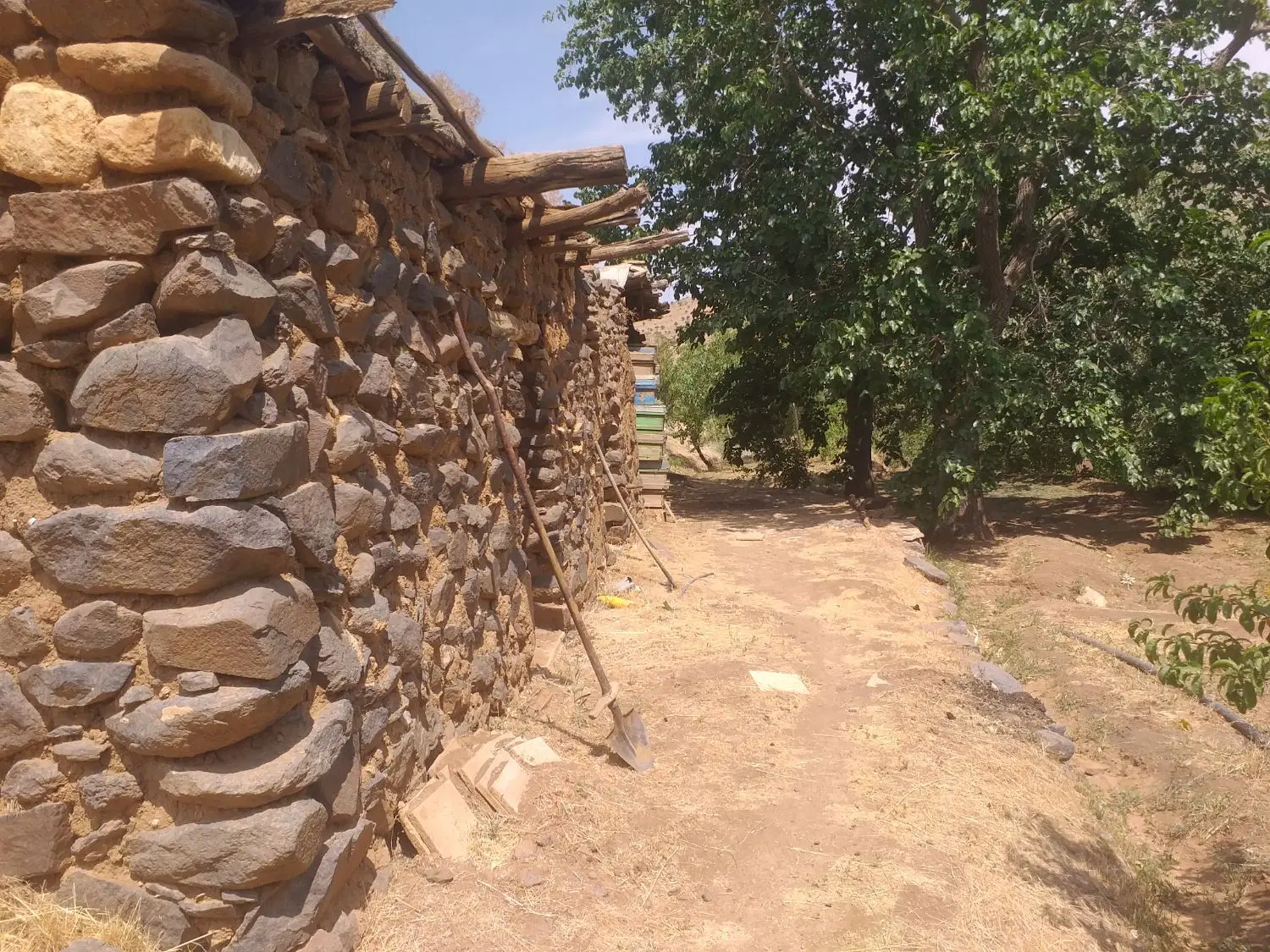فروش باغ در گزندر