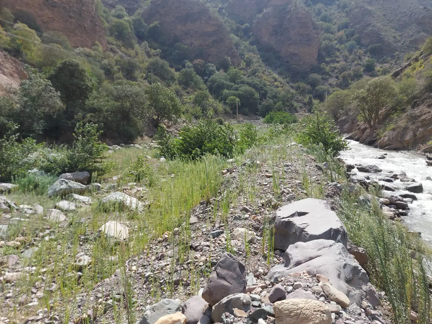 فروش زمین در جاده ی چالوس