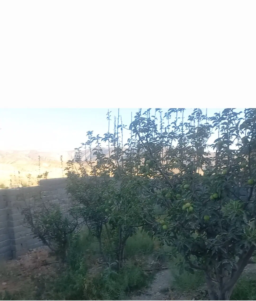 خانه باغ آماده روستای مغانک