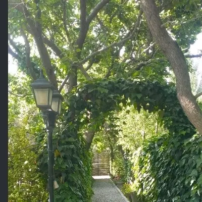 590متر باغ مناسب