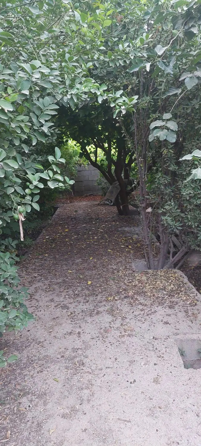 باغچه۵۰۰ متری