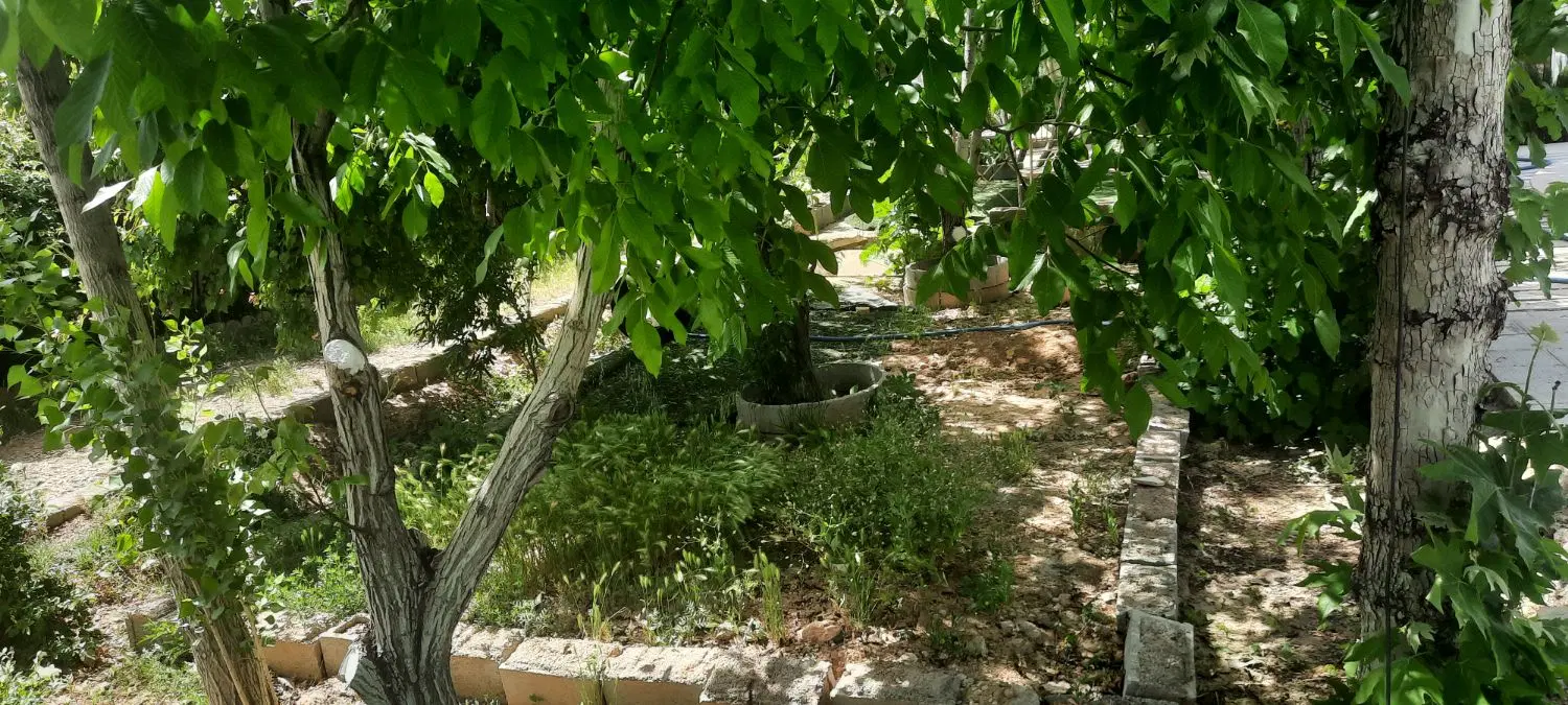 زمین تجاری مسکونی شهیدزمانی