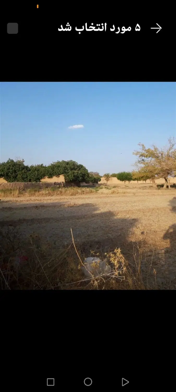 زمین مزروعی با سند مهریز