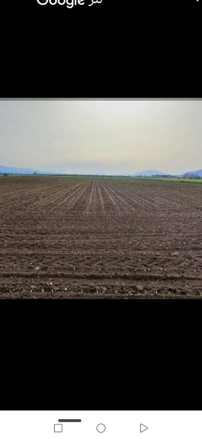 یک قطعه زمین مسکونی 500 متری پشت هواشناسی دهدشت