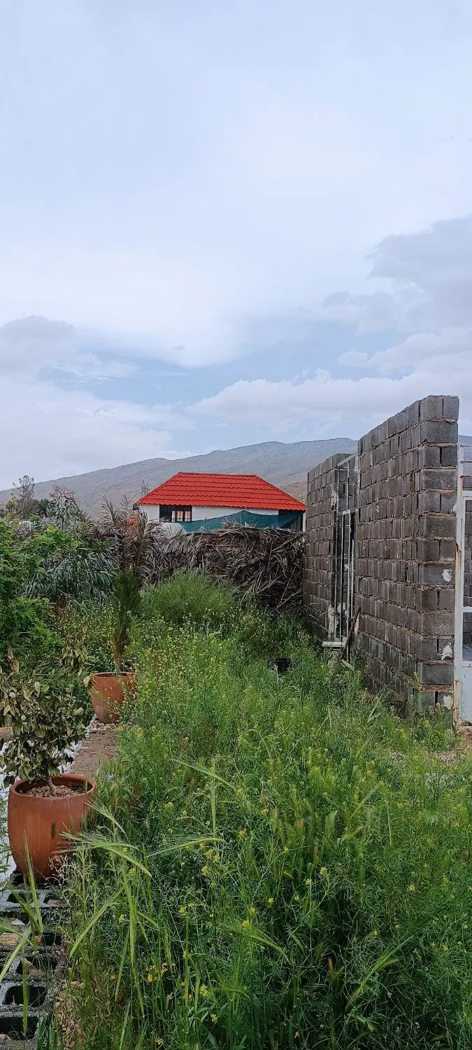 باغچه مناسب