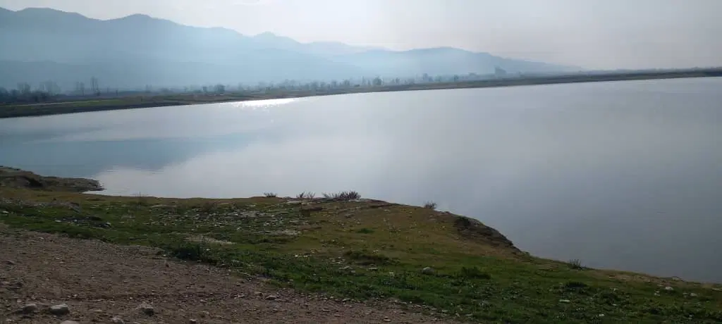 مزرعه پرورش شترمرغ گلوگاه