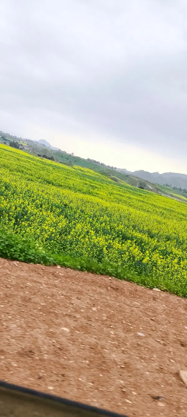 زمین در شهر چم گلک