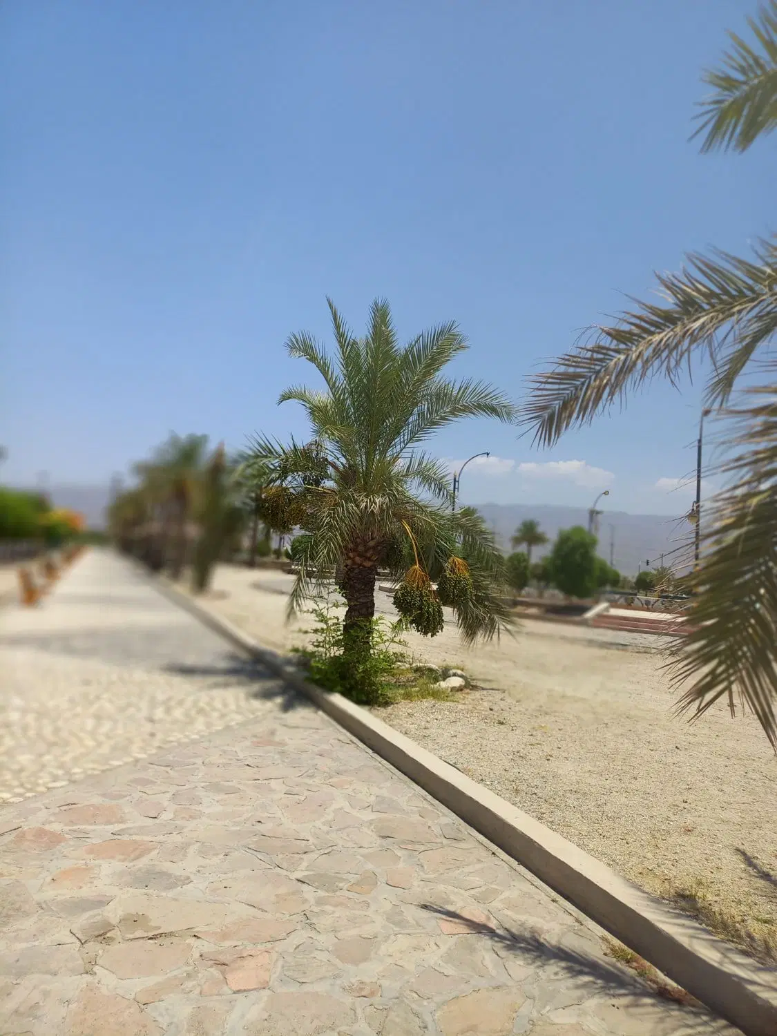 زمین با موقیت عالی روبه روی ایست بازرسی کوچه مسجد