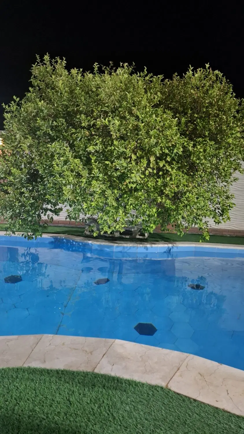 ویلا باغ