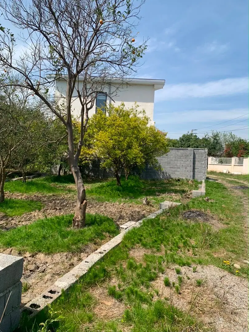 ۳۰۰متر زمین سند تک برگ(سیاورز)