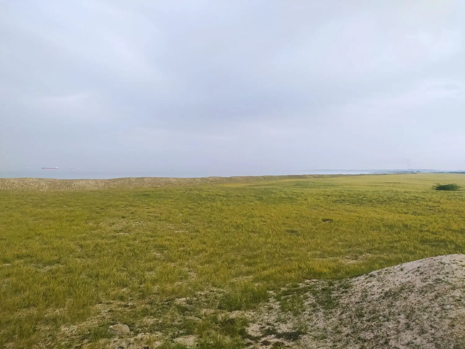 زمین مسکونی