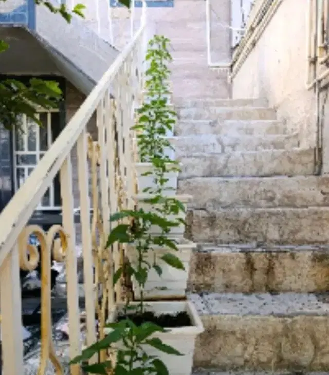 اجاره خونه تختی
