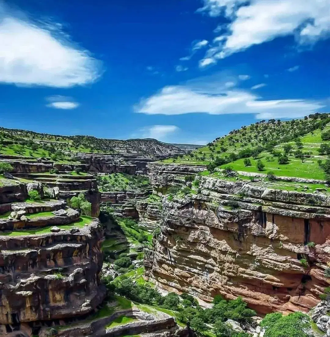 زمین فاز دوم فرهنگیان